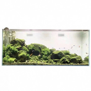 天然片岩鱼缸龟缸造景石溪流石溪流缸造景石材料原生溪流石大块景