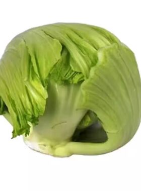 芥菜种子11号肉包腌制冬季