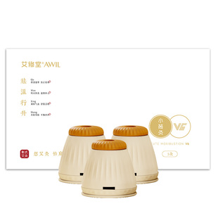 艾修堂艾灸盒随身灸家用熏蒸器具艾灸柱腿部足三里专用小悬灸筒罐