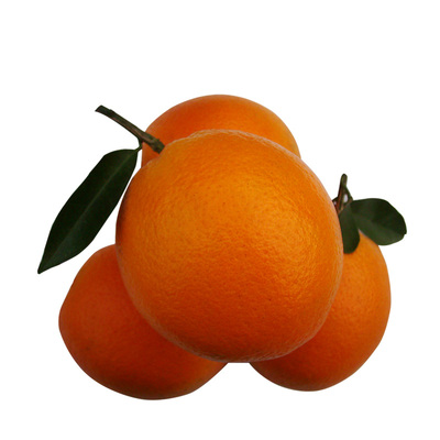 正宗江西赣南脐橙现摘带叶20斤