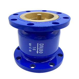 消声止回阀HC41X法兰钢体止回阀DN100立式单向阀铸铁弹簧式逆止阀