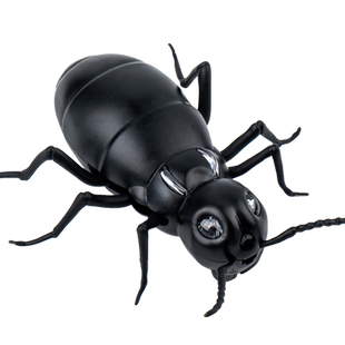 遥控电动蚂蚁儿童整蛊解压神器仿真小男孩女孩子好玩的黑科技玩具