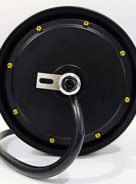 熊猫电机10寸1000W1200W1500W2000W3000W40005000W瓦片电摩大功率