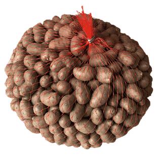 味先生冰糖葫芦用豆 个个手工挑拣出的铁棍山药豆 大号均匀可商用