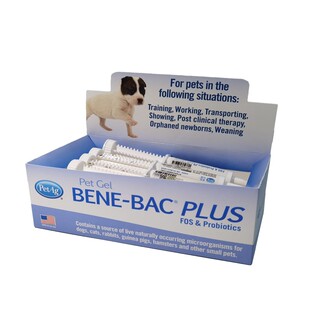 帮你壮益生菌龙猫兔子龙猫仓鼠豚鼠益生菌膏调理保健肠胃增强体质