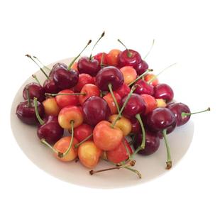 顺丰包邮现摘大连露天黄水晶大樱桃黄蜜黄金车厘子纯甜新鲜水果