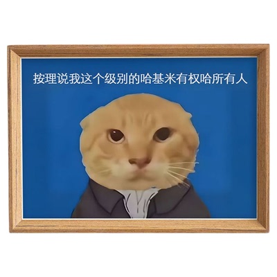 圆头耄耋猫猫meme周边我这个级别的哈基米有权哈你抽象恶搞相框