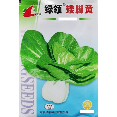 绿领矮脚黄青菜种子小白菜