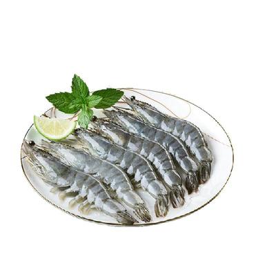 国联鲜活速冻南美白对虾