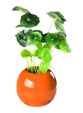 仿真绿色植物盆景家居客厅金钱叶