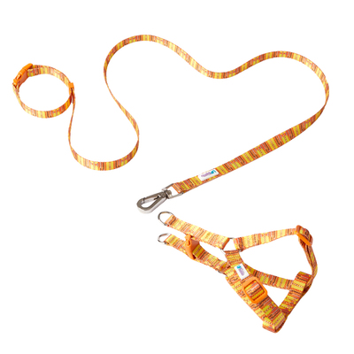 UFBemo狗项圈牵引绳套装遛狗绳