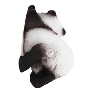 MG tattoo 懒洋洋的午后 可爱小熊猫动物图案迷你小清新纹身贴女