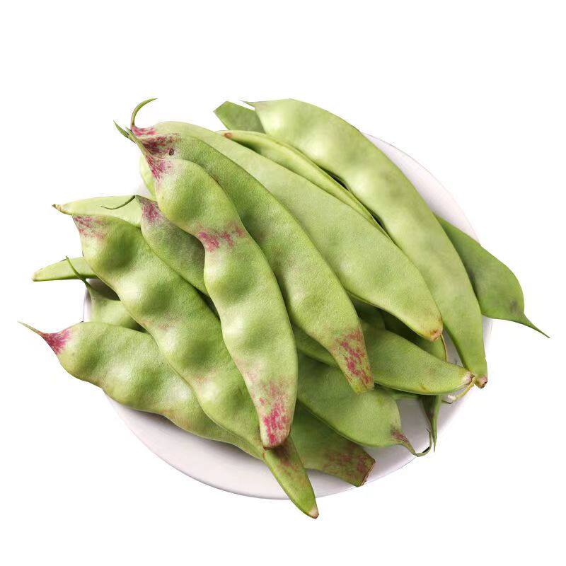 东北一点红油豆角现摘现发农自种