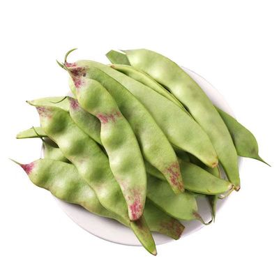 东北一点红油豆角现摘现发农自种