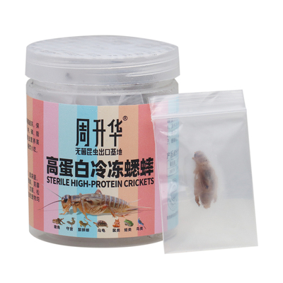 无菌高蛋白盒装鲜活速冻白蟋蟀粮