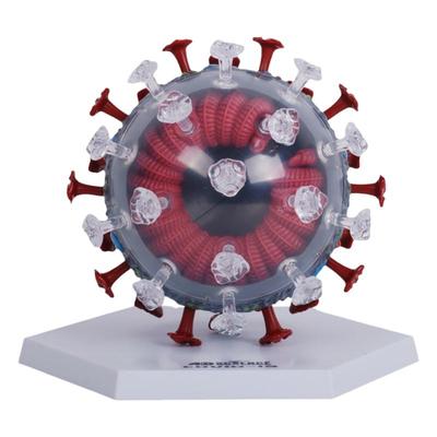 5折4DMASTER冠状病毒模型毒株