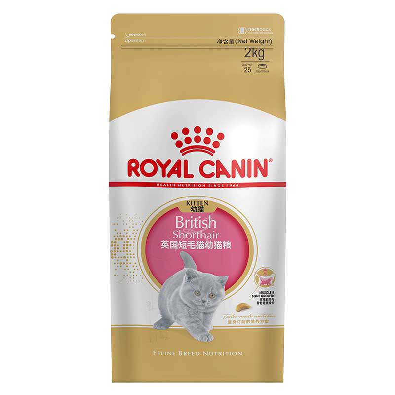 姜露宠物ROYALCANIN英短