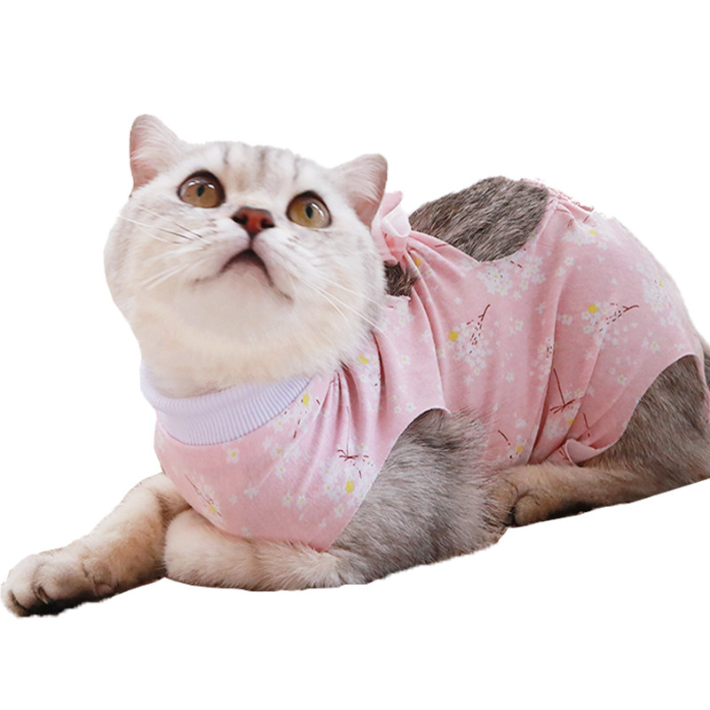 猫咪绝育服手术服夏季薄透气升级防挣脱防舔护理服狗狗母猫断奶服