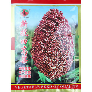 红缨子矮杆高粱种籽扫把种子孑酿酒种了高产红糯北方抗旱五谷杂粮