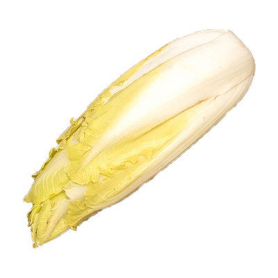 新鲜采摘玉兰菜现采发货物美价廉