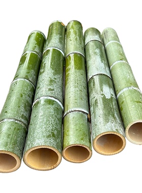 新鲜楠竹筒奶茶杯蒸饭筒笔筒竹材料现做竹筒竹竿造景摆件竹筒定制