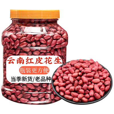 云南红皮花生米颗粒饱
