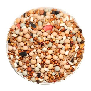 优质鸽粮玉米粮食鸟食饲料鸽子营养保健幼鸽成鸽肉鸽观赏鸽信鸽粮