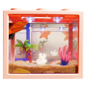 海星活宠物饲养套餐派大星活物