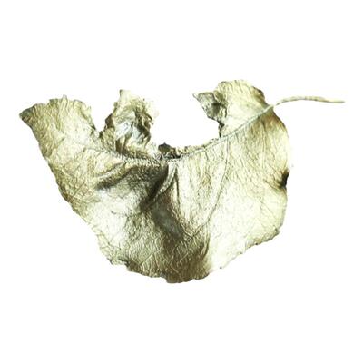 秋冬小众设计胸针还原植物原型