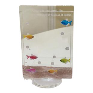 “七秒记忆”少女玩心原创彩色金鱼拍立得相框三寸亚克力插卡立牌