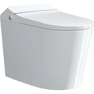 瑞尔特带水箱低水压轻智能马桶A1