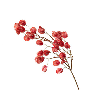 逼真干花栾树灯笼果假花仿真花摆设装饰高档轻奢仿生花束花艺摆件