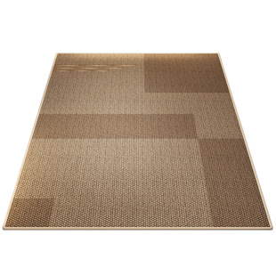 地毯入户门垫高级进门大门口耐脏脚垫2025新款室内可裁剪入门地垫