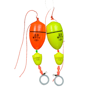 CXZHI电子阿波套装矶钓远投浮漂夜钓鱼漂海钓水库波夜光漂送电池