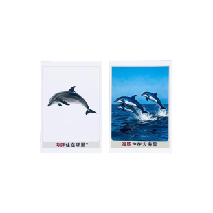 他们住哪里 动物栖息地认知卡自闭症语言发育迟缓ABA干预训练教具