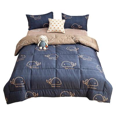 被子冬被加厚保暖棉被被芯宿舍学生单人春秋被四季通用2025新款男