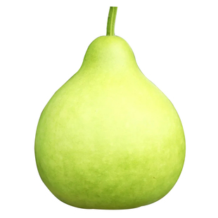 农家菜葫芦种子可食用阳台庭院可做水瓢种籽孑观赏四季蔬菜孑子