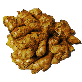 【苗姜王】贵州新鲜小黄姜现挖老姜鲜姜生姜月子姜直发高山自种