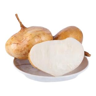 湖北沙地凉薯白地瓜白土瓜沙葛批发大小混发脆甜细嫩多汁地萝卜