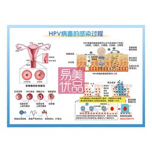 妇科医患沟通图谱小花园健康护理HPV感染讲解比基尼毛发A4宣传册