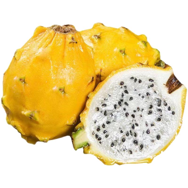海南麒麟燕窝果新鲜水果当季现摘黄皮白心火龙果大果礼盒顺丰包邮