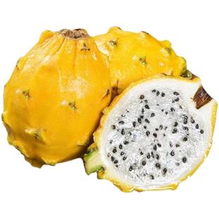 海南麒麟燕窝果新鲜水果当季现摘黄皮白心火龙果大果礼盒