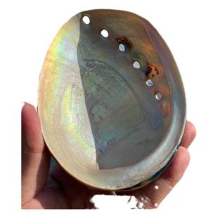 黑金鲍鱼壳鱼缸造景水族装饰品拍摄道具创意家居摆件天然海螺贝壳