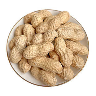 新鲜生花生带壳干花生2025年新货晒干河南农家新花生营养美味种植