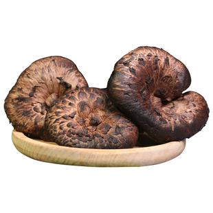 新鲜黑虎掌菌野生虎掌菇云南特产新鲜菌菇黑虎掌菌野生獐子菌500g