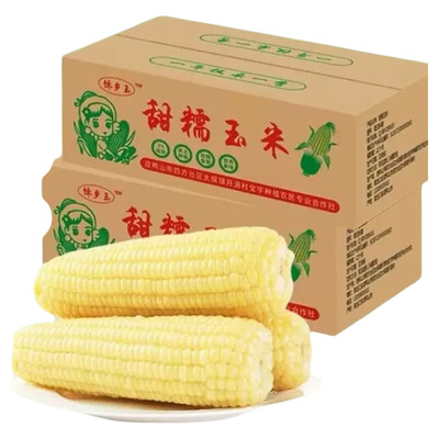 东北白糯玉米甜糯款黏糯粗粮代餐健康宿舍加热即食玉米黑土地新鲜