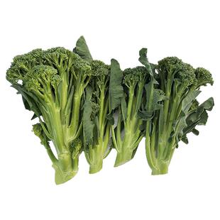 云南新鲜兰花苔西兰花苔芥蓝菜农家自种西兰花脆嫩兰花菜苔新鲜