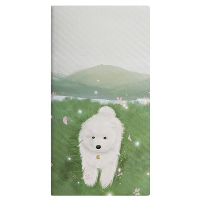 旅行笔记护照替芯TN标准A5S手账