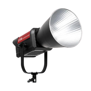 GVM直播补光灯SD300B/500BAIO专业摄影直播300W常亮灯双色温LED室内人像主播绿幕拍照视频氛围发丝500W打光灯