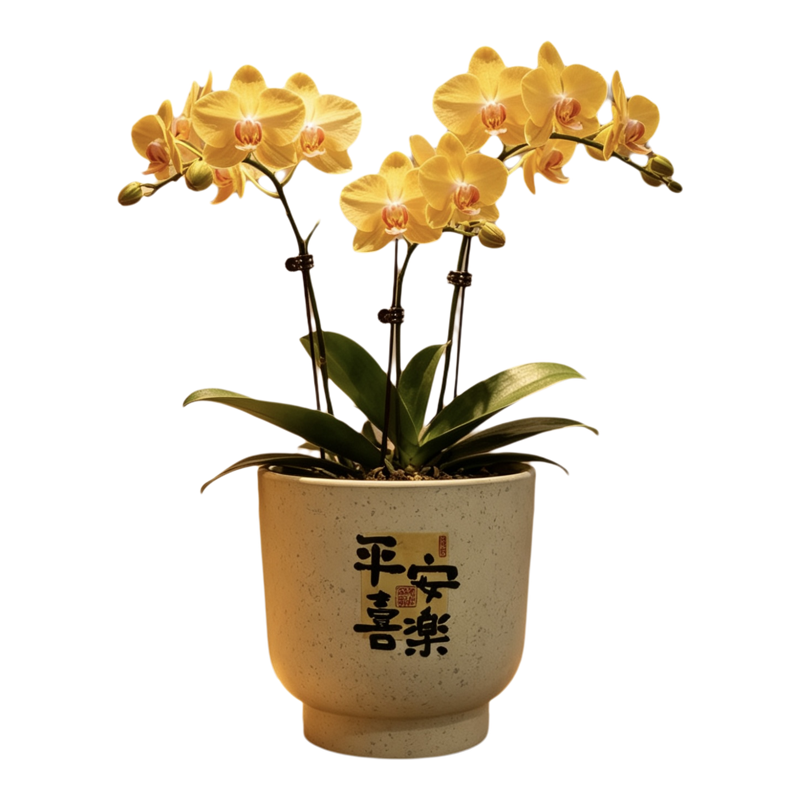 中式透气陶瓷花盆包邮特卖